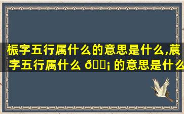 桭字五行属什么的意思是什么,莀字五行属什么 🐡 的意思是什么